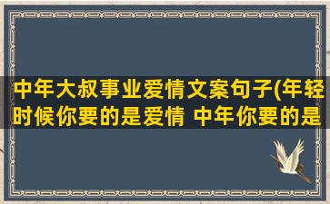 中年大叔事业爱情文案句子(年轻时候你要的是爱情 中年你要的是事业)